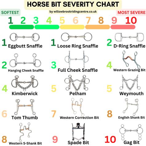 Different Horse Bit Names