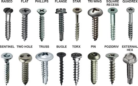 Different Kind Of Screws