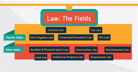 Different Lawyer Fields