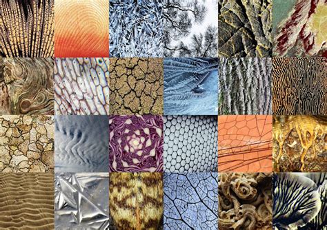 different patterns in nature