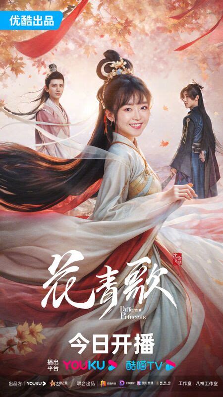 different princess chinese drama