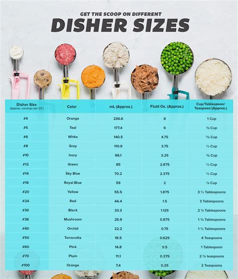 Different Size Scoops
