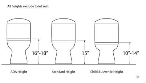 Different Size Toilet