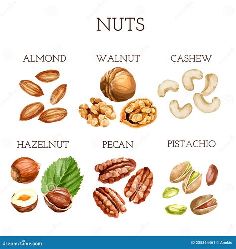 Different Types Nuts Names
