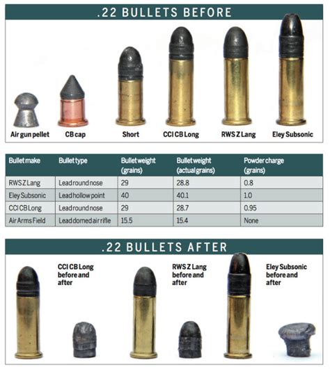 Different Types Of 22 Long Rifle Ammo