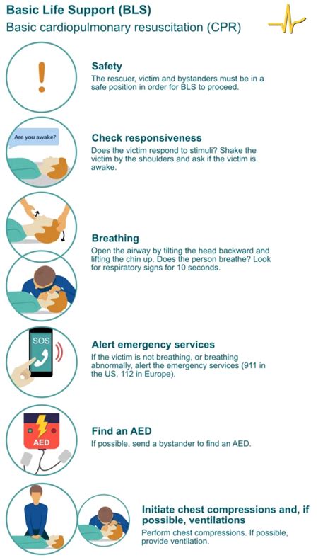 different types of basic life support