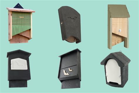 Different Types Of Bat Boxes