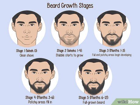 Different Types Of Beard Growth Patterns