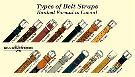 Different Types Of Belts And How To Use Them