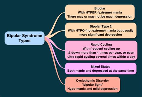 different types of bipolar disorders