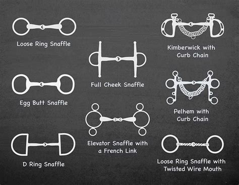 Different Types Of Bridle Bits