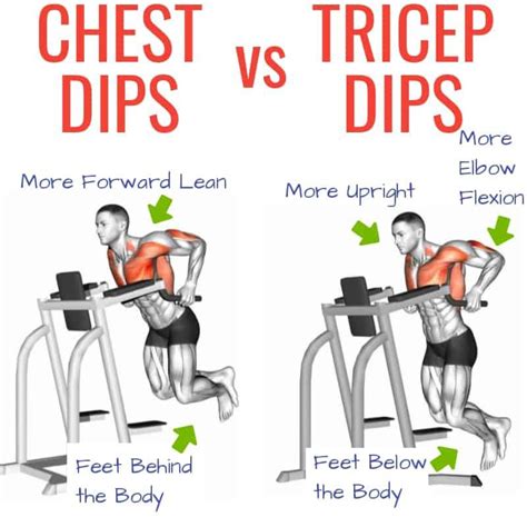 Different Types Of Dips Exercise