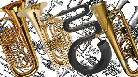 Different Types Of Euphoniums
