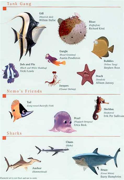 different types of fish in finding nemo