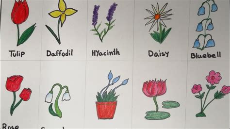 different types of flowers drawing easy