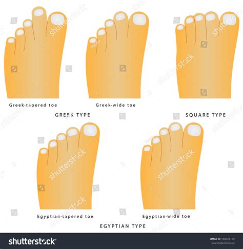Different Types Of Foot Shape