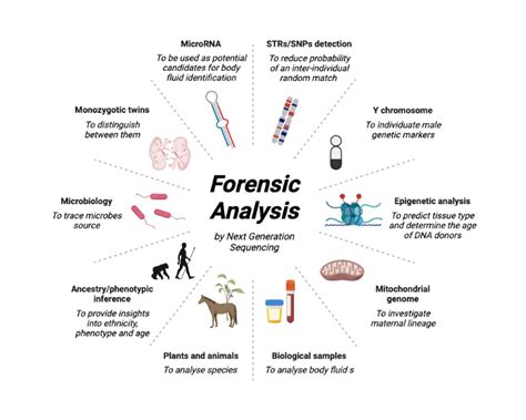different types of forensic analysis