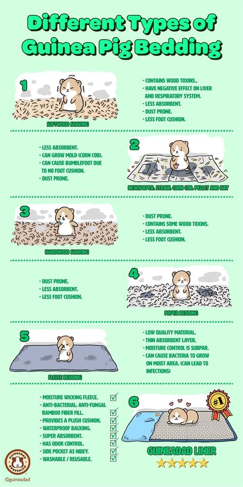 Different Types Of Guinea Pig Bedding