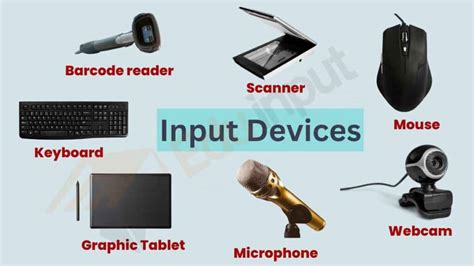 Different Types Of Input Boxes