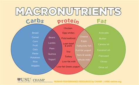 different types of macronutrients