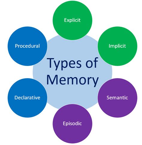different types of memory psychology
