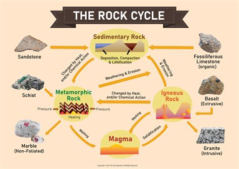 Different Types Of Mineral Cycle