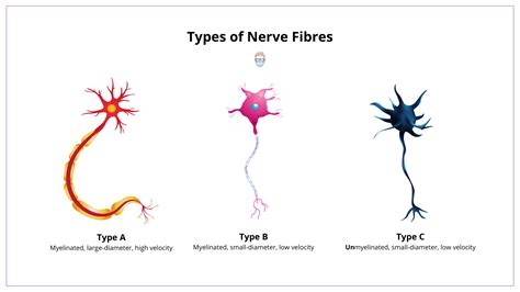 different types of nerve problems