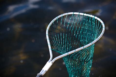 Different Types Of Nets