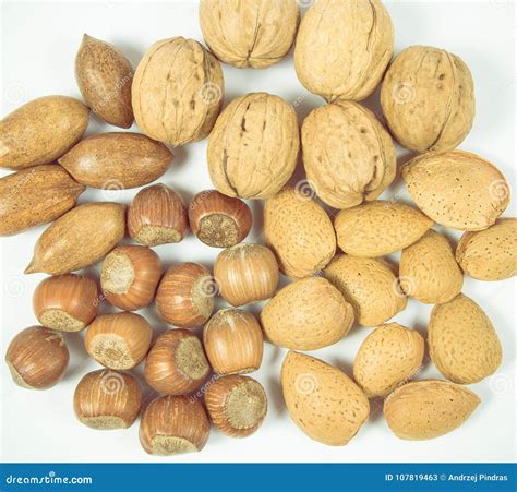 Different Types Of Nuts In Shell