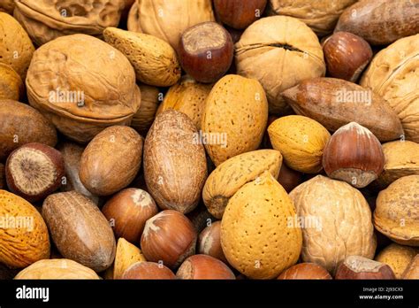 Different Types Of Nuts In Shells