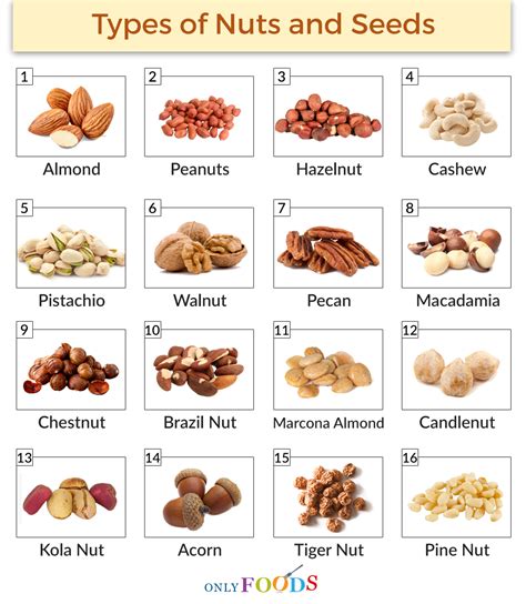 Different Types Of Nuts List