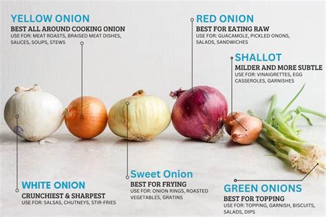 The Different Types Of Onions You Need To Know