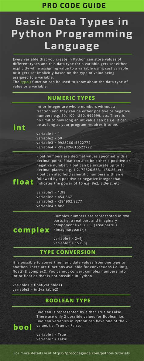 different types of programs in python