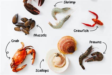 Different Types Of Shell Seafood