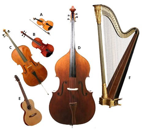 different types of string instruments