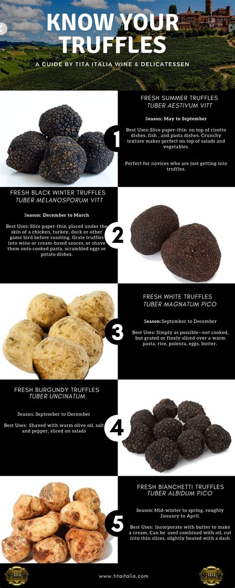 Different Types Of Truffles Recipe