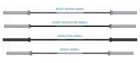 Different Types Of Weight Lifting Bars