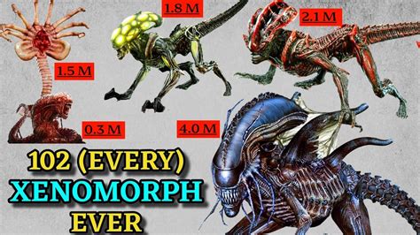 The Different Types Of Xenomorphs Explained By A Movie Fan