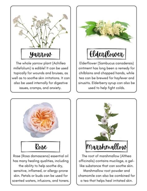 Different Uses For Flowers