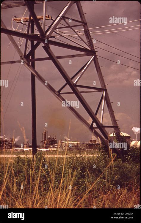 different ways Monsanto