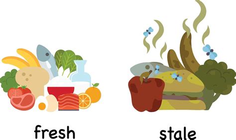 Different Words For Fresh