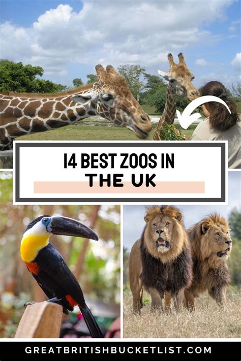 Different Zoos Around The World