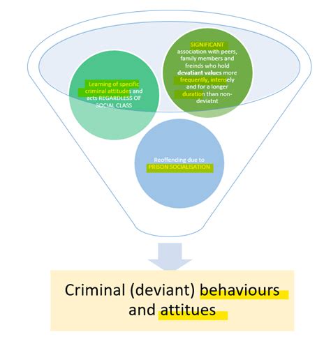 Differential Association Quizlet