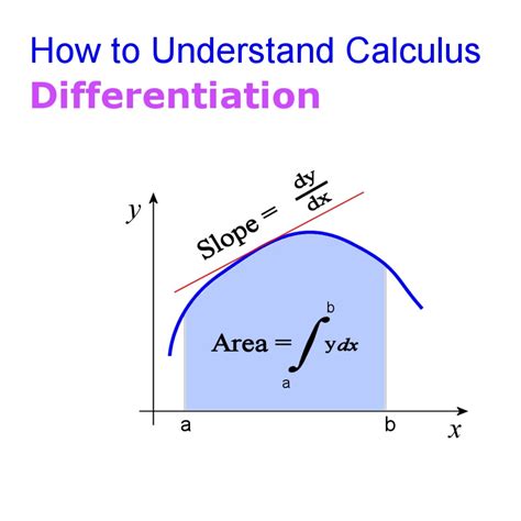 Differential Calculus Utd