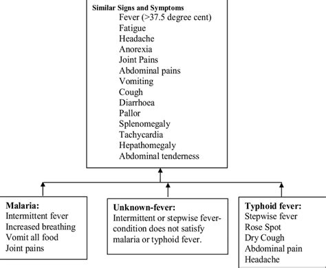differential diagnosis of typhoid fever