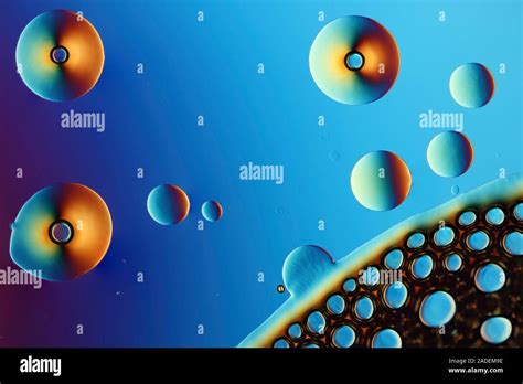 Differential Fluid Bubbles