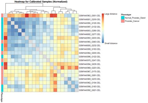Differential Gene Expression Heatmap