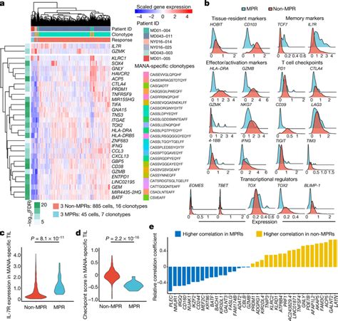 Differential Gene Expression Program