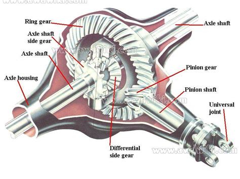 Differential Meaning Wiki