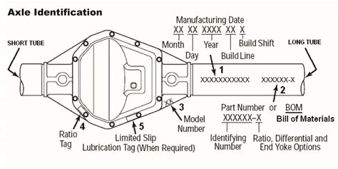 Differential Numbers